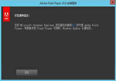 Windows Server 2016、2019顯示啟用Flash